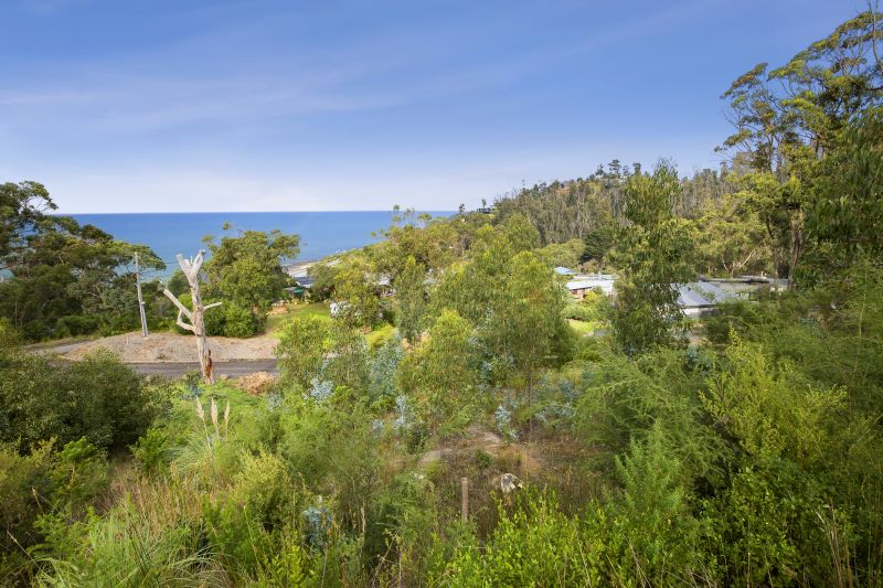 7 Bass Avenue Separation Creek VIC, Separation Creek - Thumbnail 5