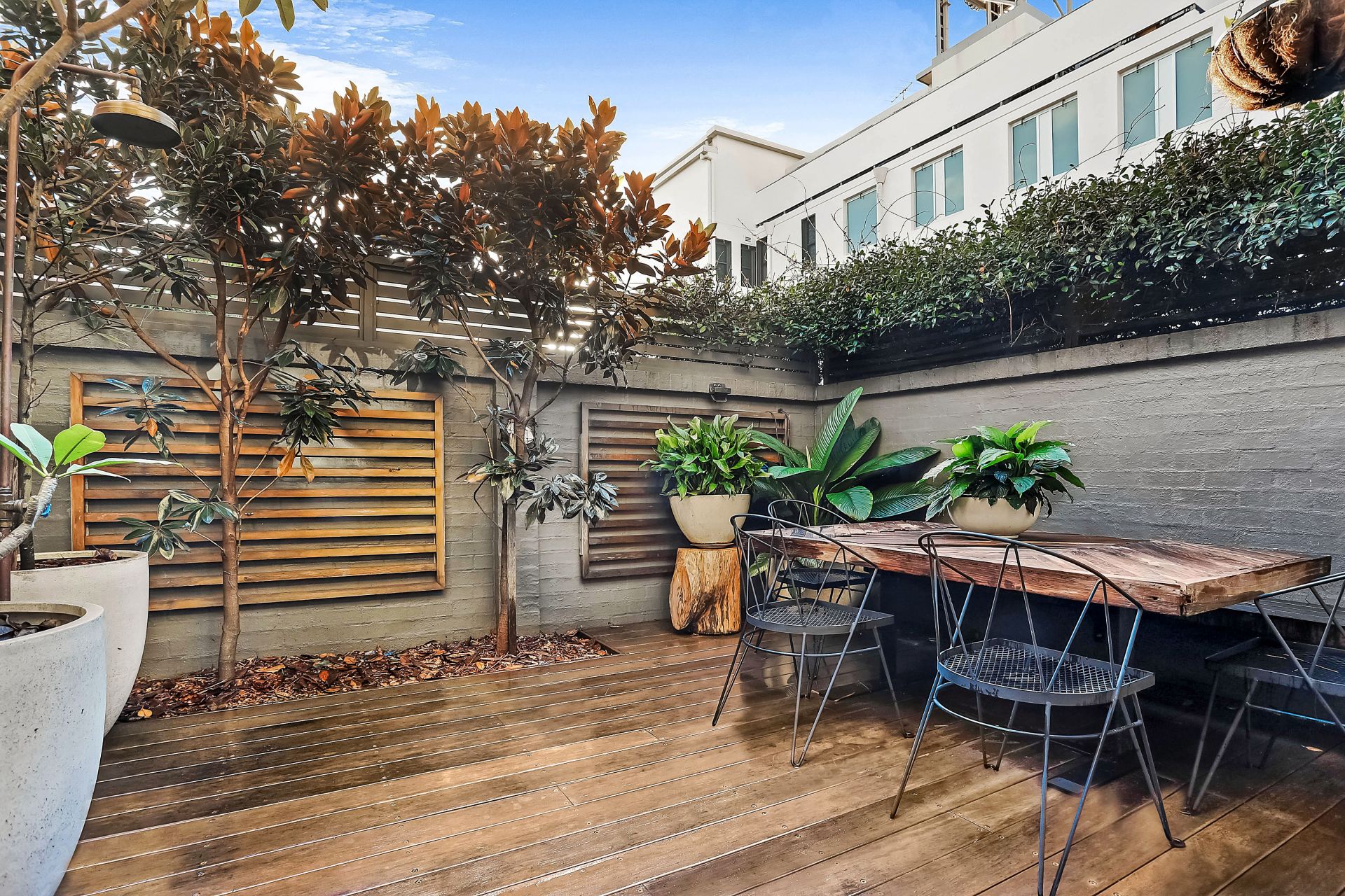 8/765 Old South Head Road, Vaucluse, Vaucluse - Thumbnail 4