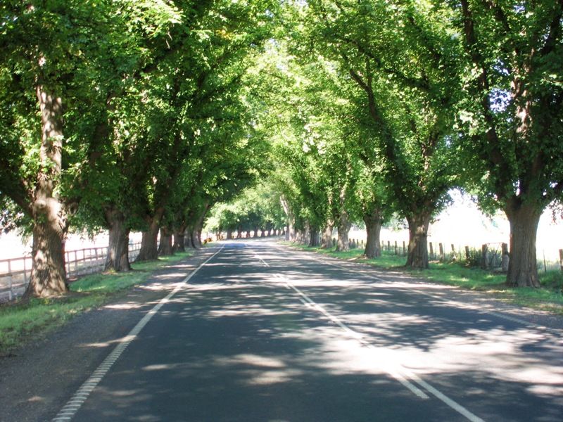 Lot 57 Valentina Drive, Bacchus Marsh - Thumbnail 4