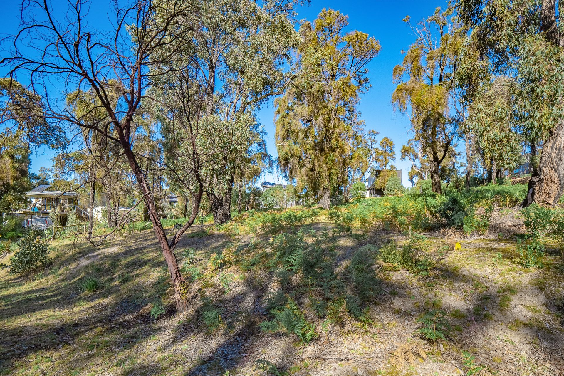19 Narani Way, Fairhaven - Thumbnail 2
