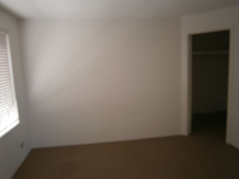 7/9 Douglas Street Alexandra Headland QLD, Alexandra Headland - Thumbnail 6