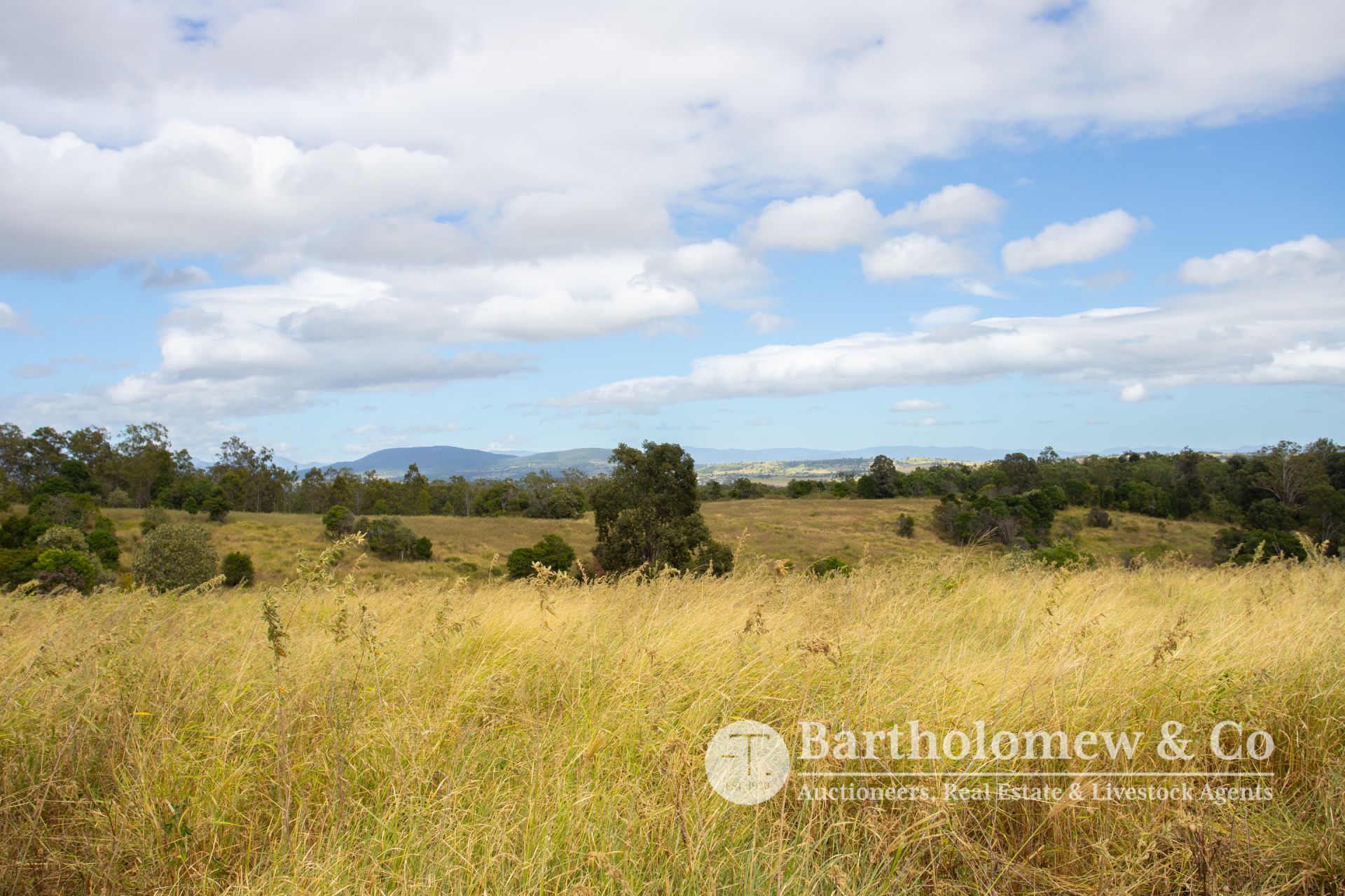 L1/ Schneider Road Allandale QLD, Allandale - Image 1
