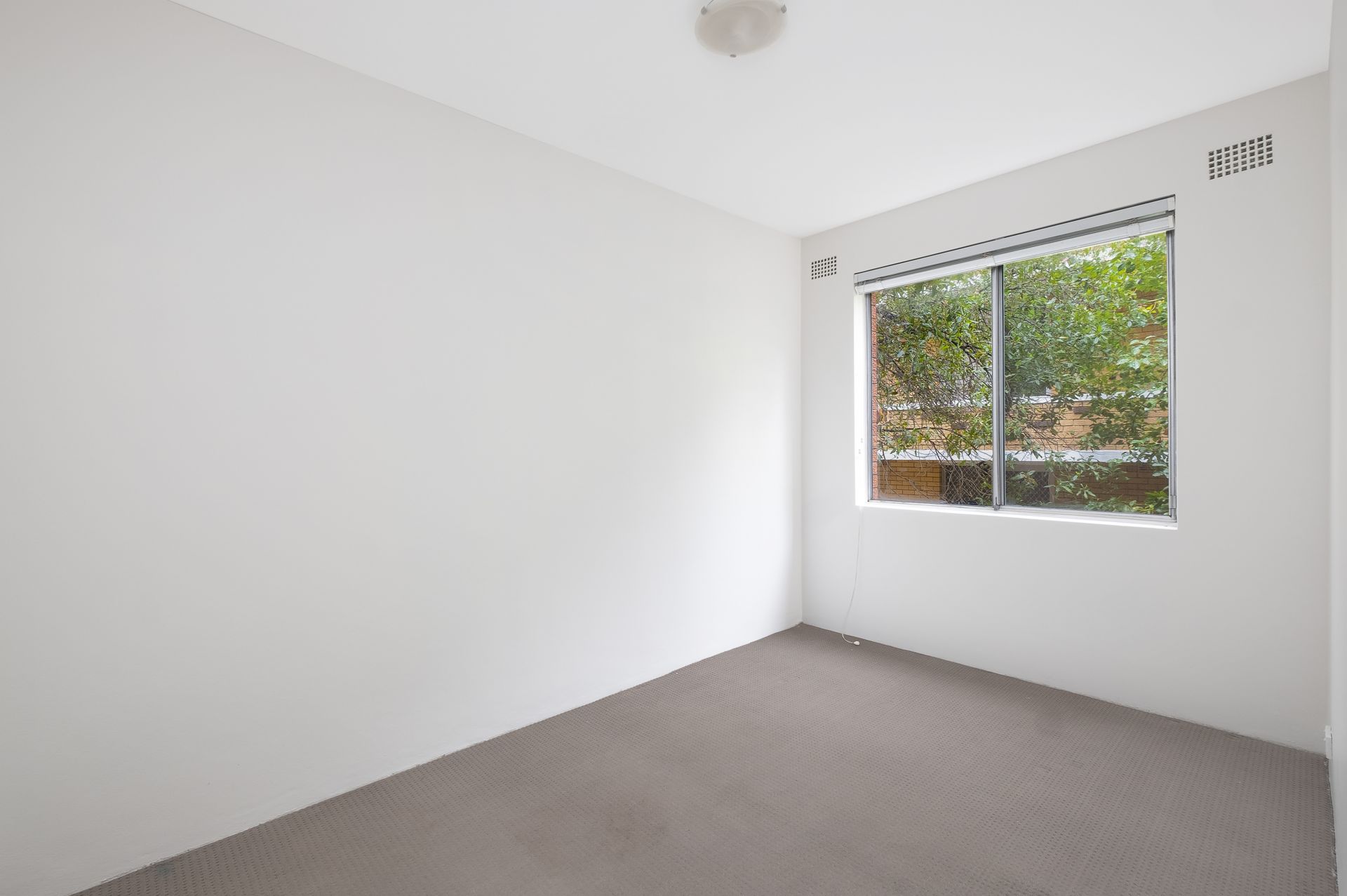 8/16 Orpington Street Ashfield NSW 2131 Unit for Rent 6859438