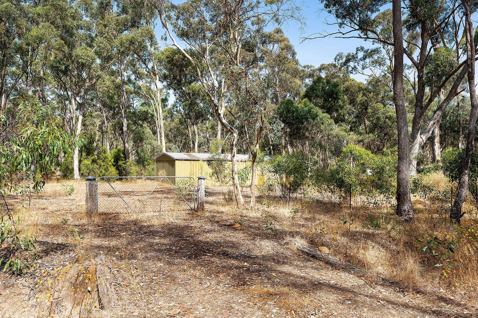 90 Fryers Road, Campbells Creek - Thumbnail 7