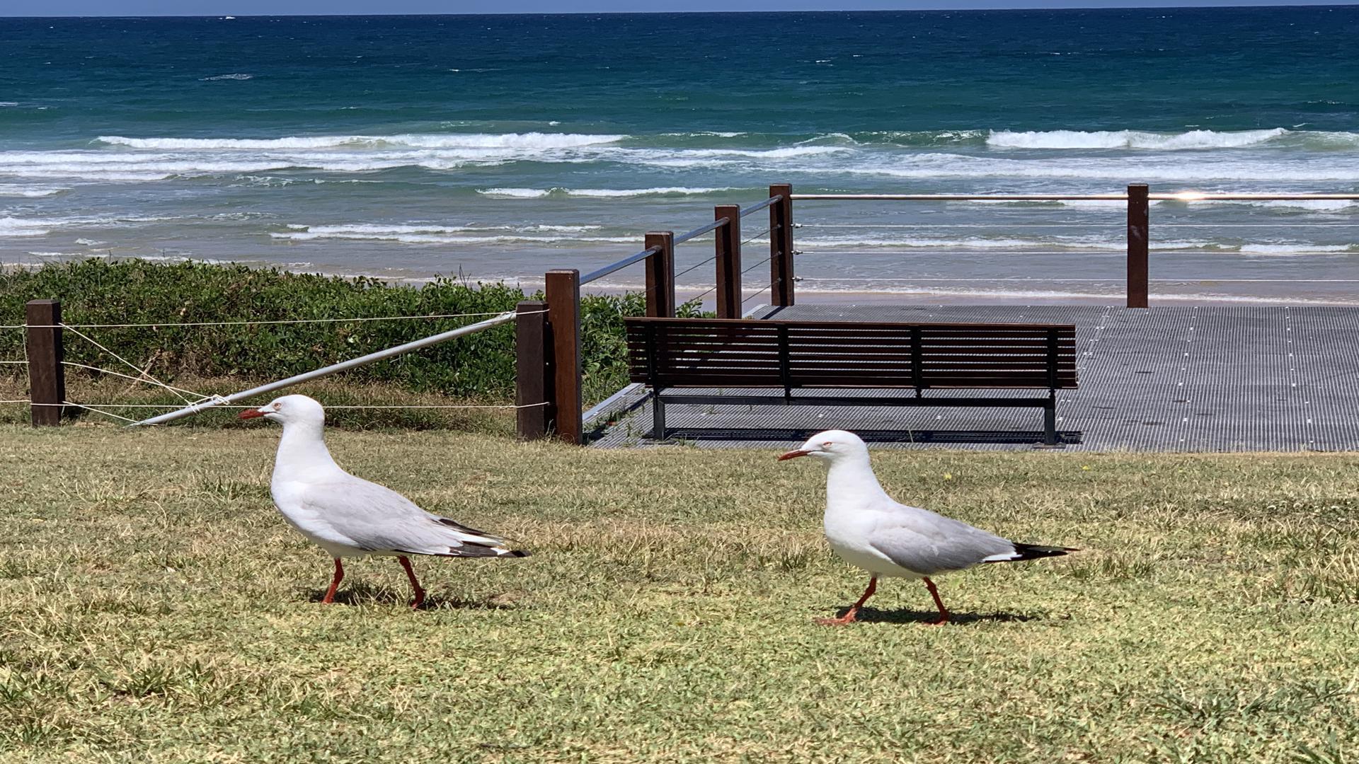 4/6  Fourth Avenue, Sawtell NSW 2452