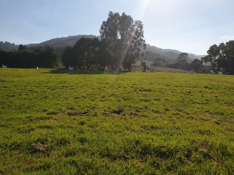 Lot 5 Tuxion Road Apollo Bay VIC, Apollo Bay - Thumbnail 3