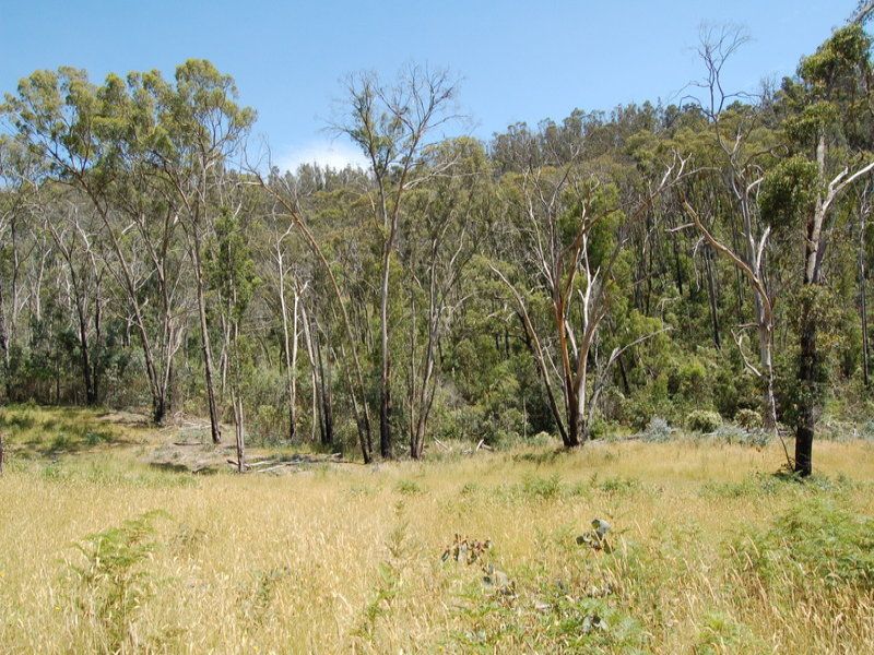 Real Estate For Sale 72 Messmate Road Flowerdale , VIC