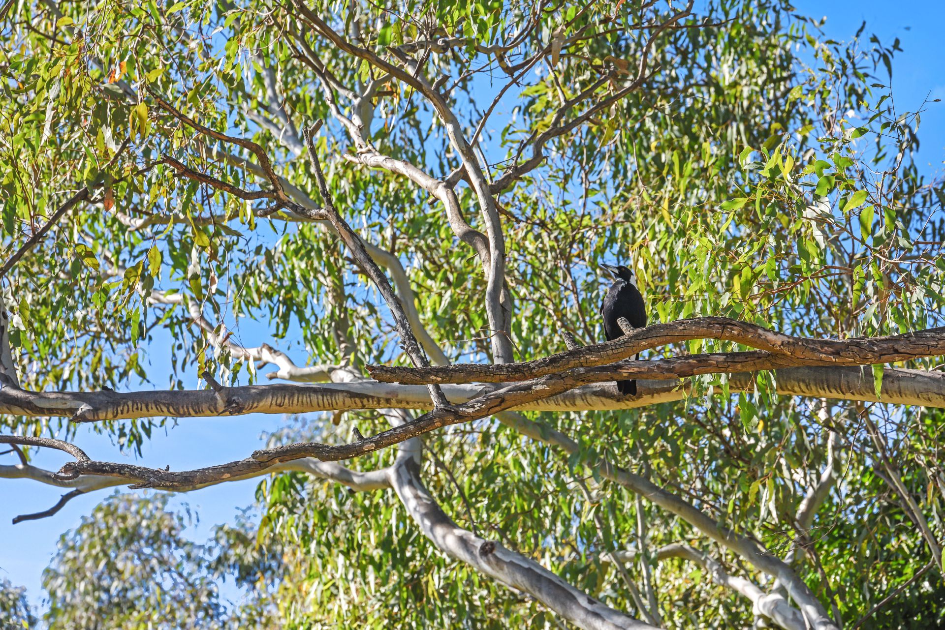 35/ Mulholland Drive Nambour QLD, Nambour - Thumbnail 6