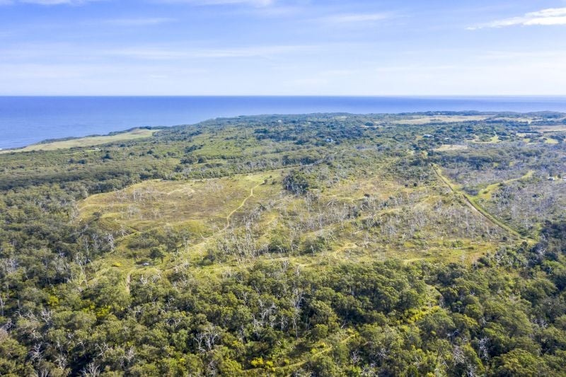 1010 Lighthouse Road, Cape Otway, VIC, Cape Otway - Thumbnail 4