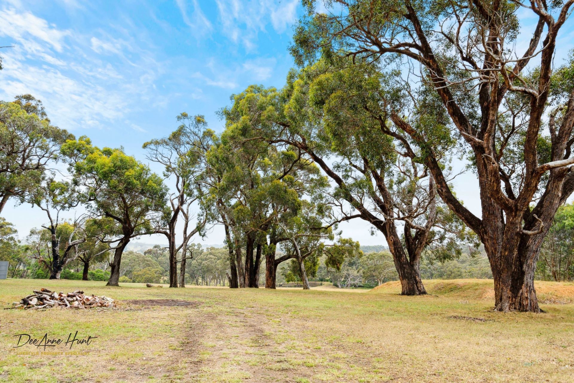 39 Hammersmith Drive, Meadows Williams Real Estate