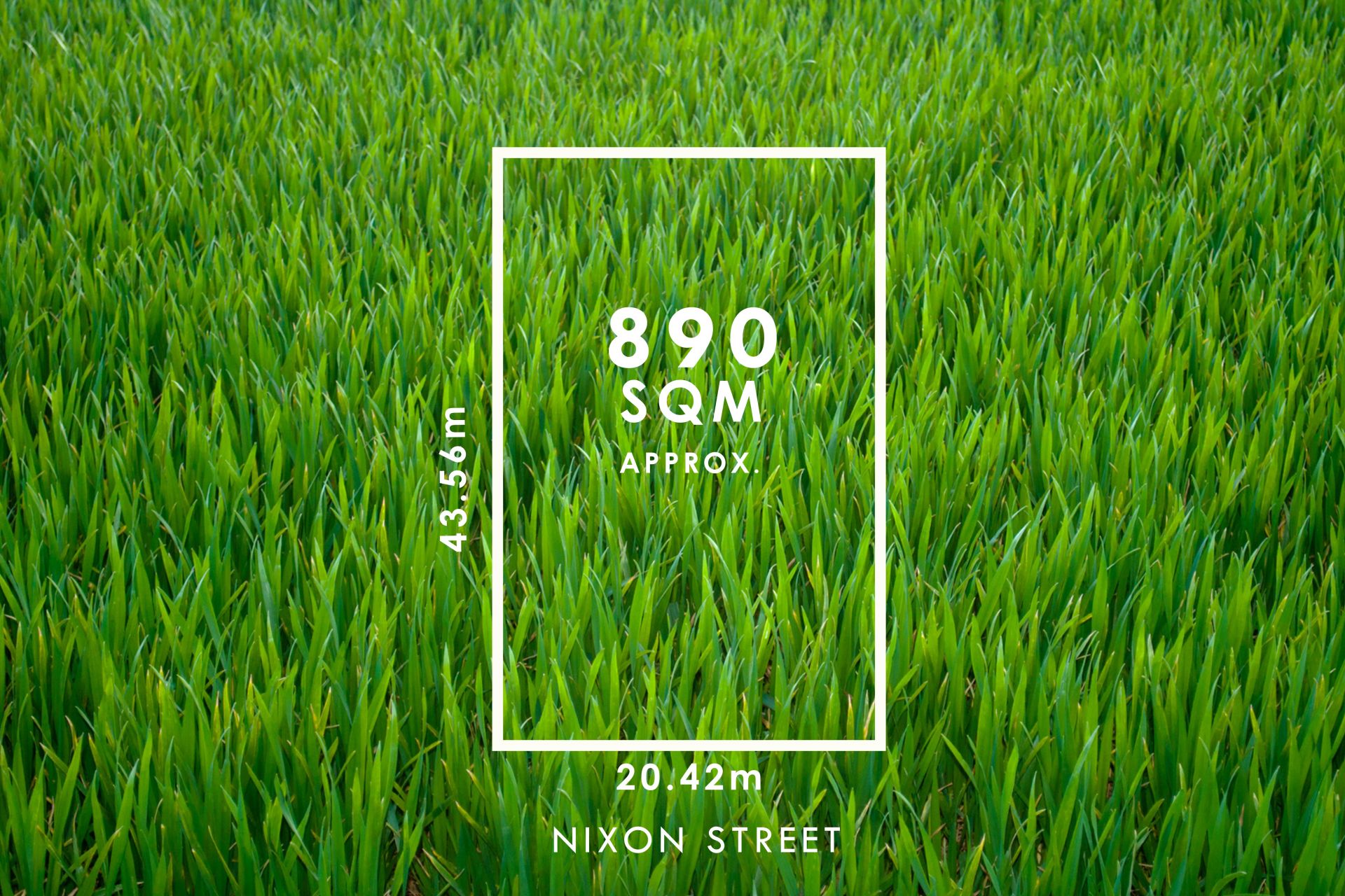 10 Nixon Street, Marion - Thumbnail 3