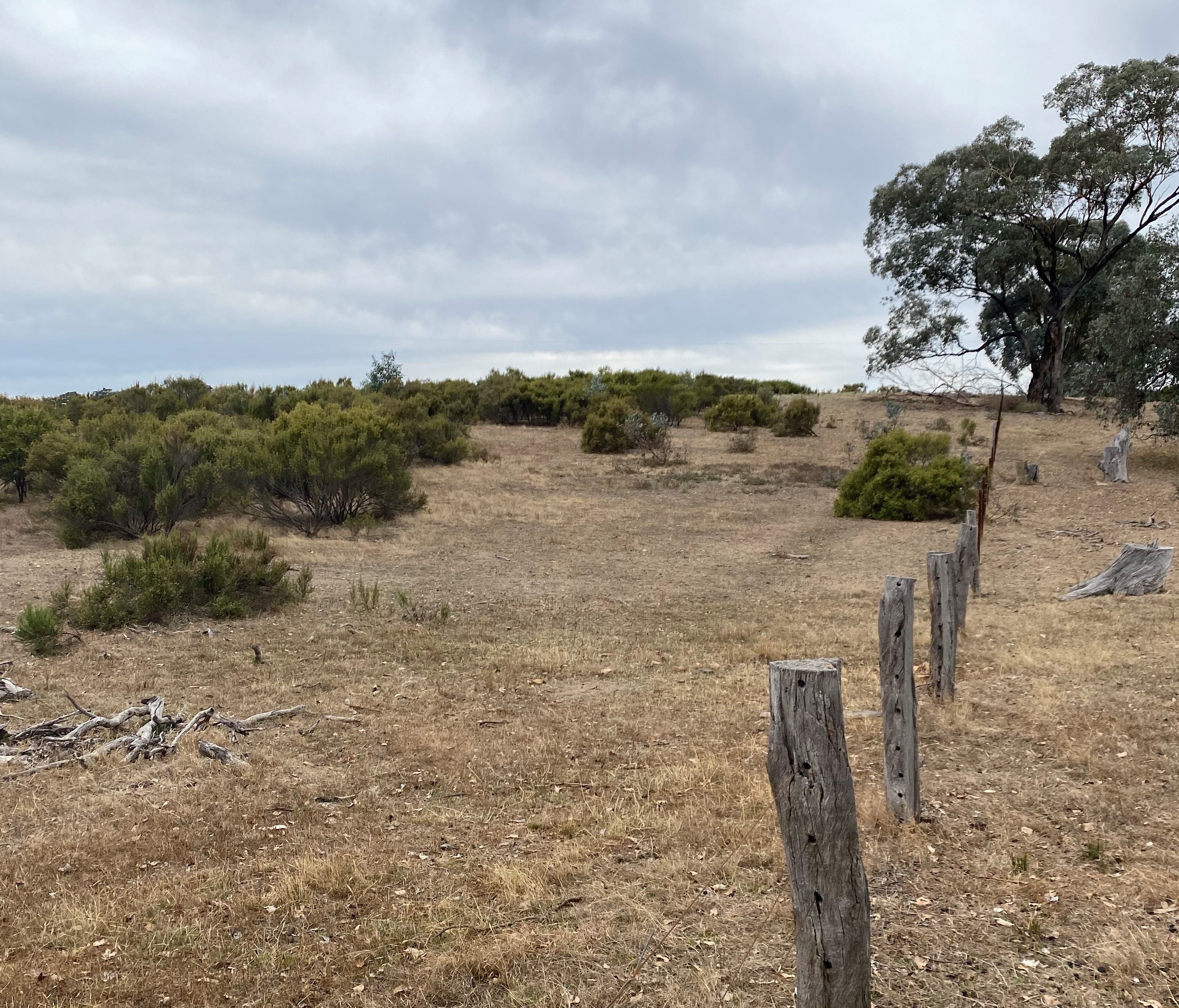 Lot 5 & 5J/ Hylands Lane, Heathcote VIC 3523