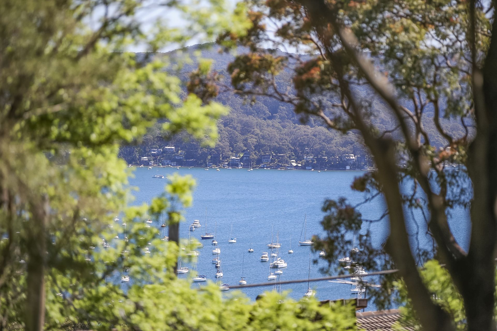 62 Riviera Avenue Avalon Beach NSW, Avalon Beach - Thumbnail 6