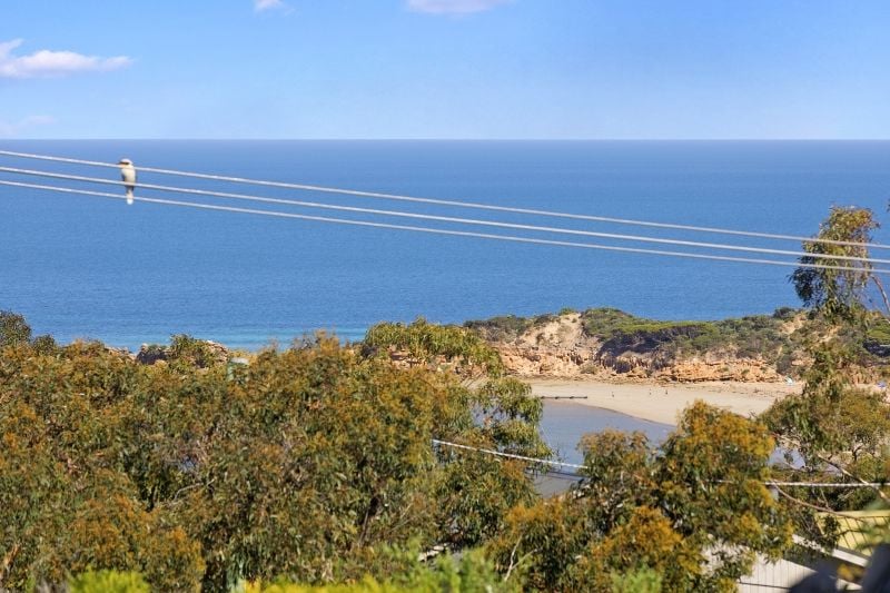 159 Great Ocean Road, Anglesea - Thumbnail 4