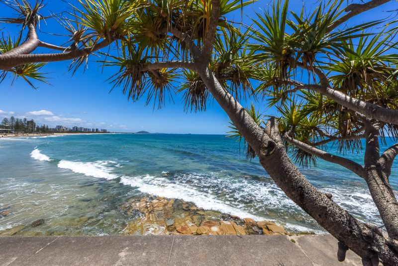 38/6 Mari Street Alexandra Headland QLD, Alexandra Headland - Image 1