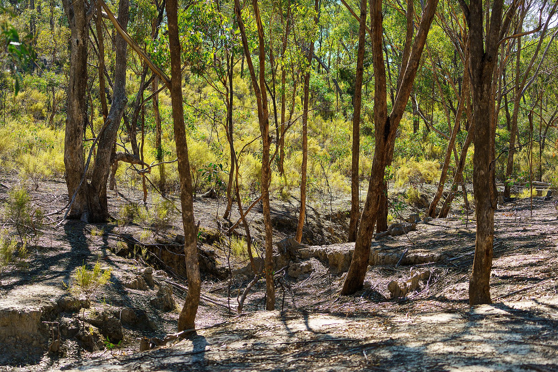 Lot 4/ Mcnutts Lane, Heathcote VIC 3523