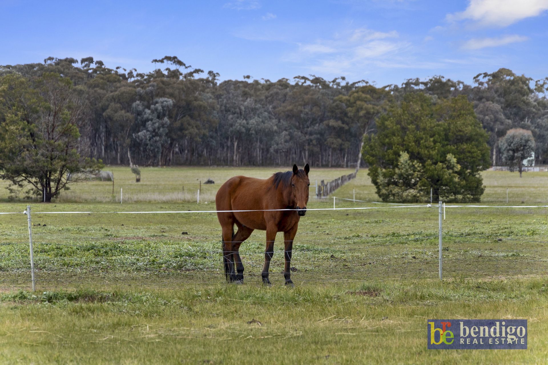 58 Campaspe Road, Fosterville Bendigo Real Estate