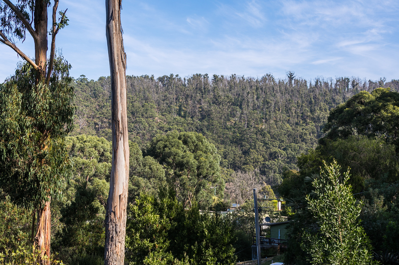 4 The Boulevarde, Wye River, VIC, Wye River - Thumbnail 4