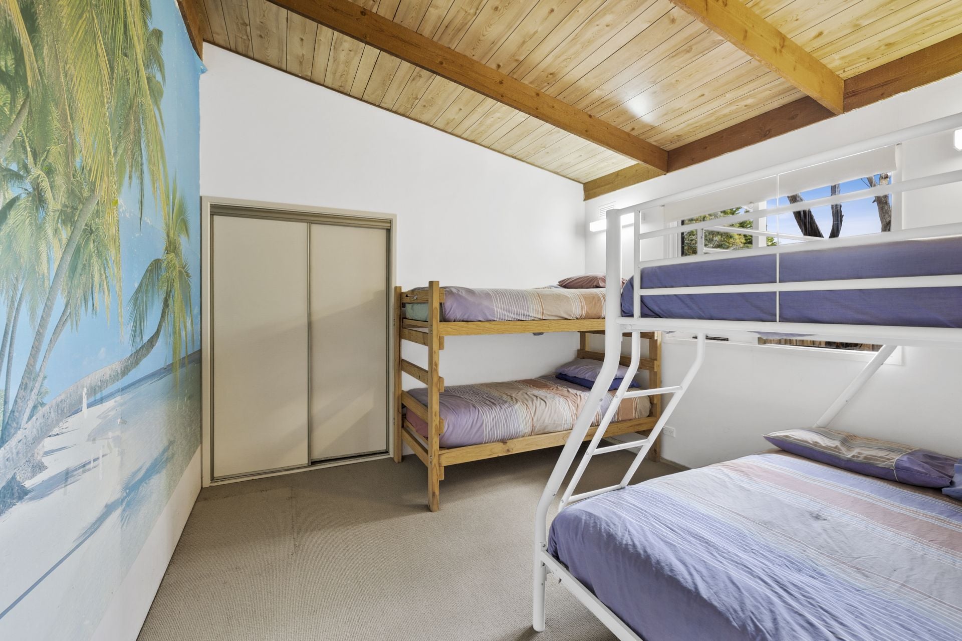 15 Antares Court, Torquay - Thumbnail 8