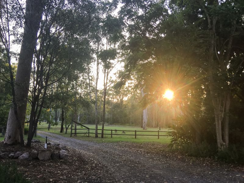 Real Estate For Sale 290300 Kurrajong Road Jimboomba , QLD