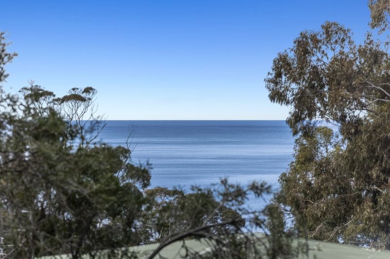 14A Belvedere Terrace, Lorne, VIC, Lorne - Thumbnail 7