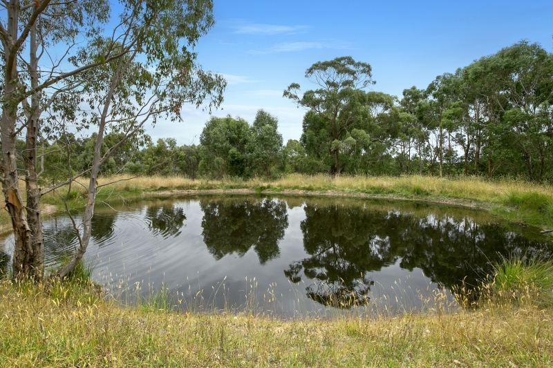 155 Bambra Cemetery Road, Deans Marsh, VIC, Deans Marsh - Thumbnail 7