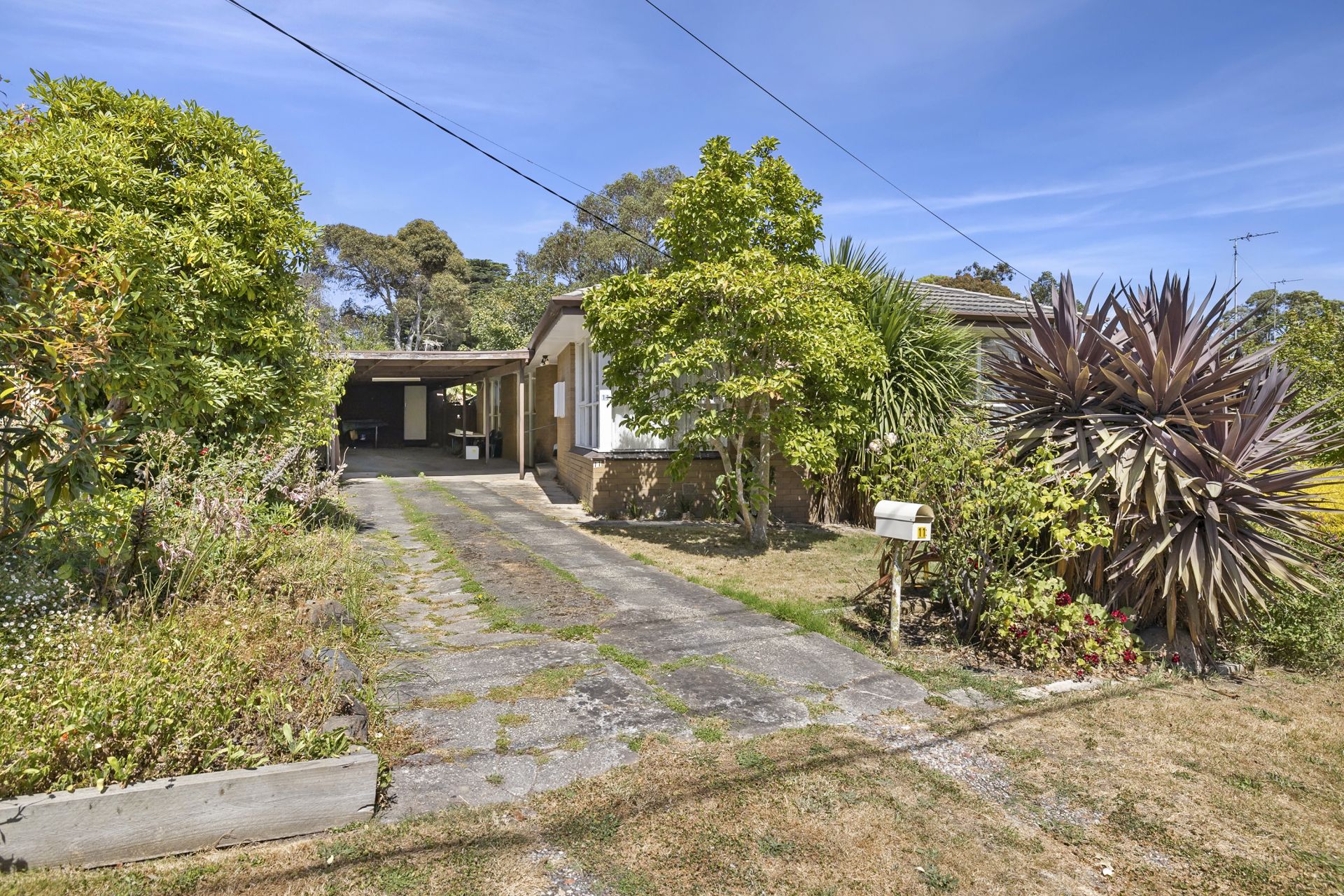 11 Heales Street, Mount Pleasant, Mount Pleasant - Thumbnail 2