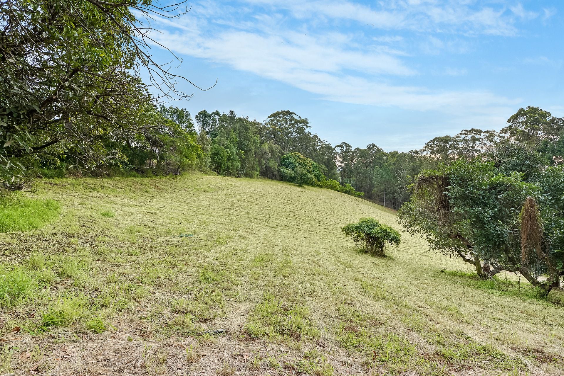 402 Upper Landershute Road Palmwoods QLD, Palmwoods - Thumbnail 2
