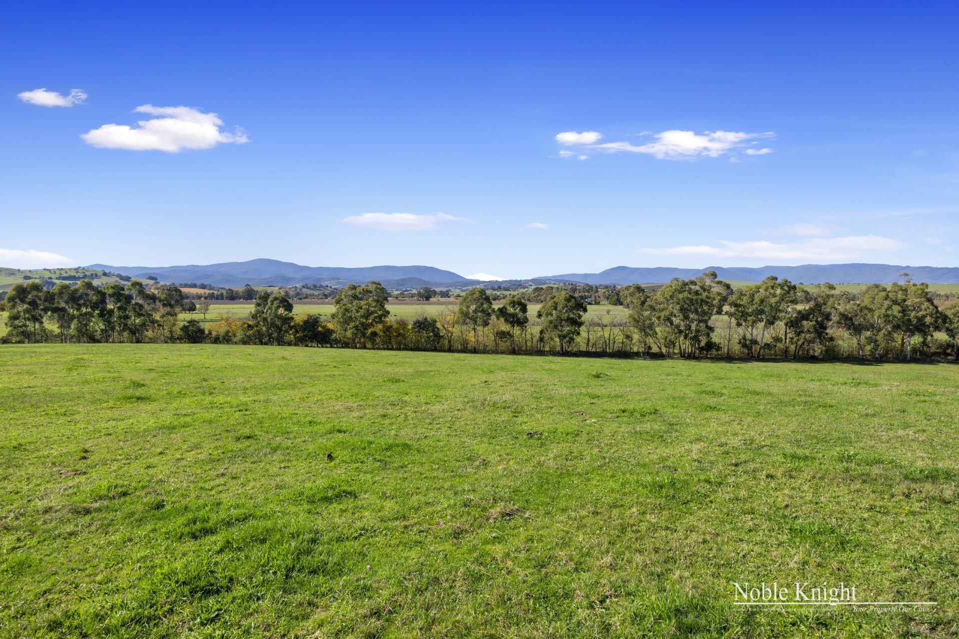 1077 Melba Highway, Yarra Glen Noble Knight