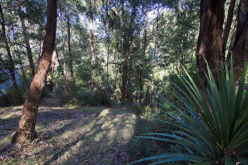 28 Karingal Drive, Wye River, VIC, Wye River - Thumbnail 3