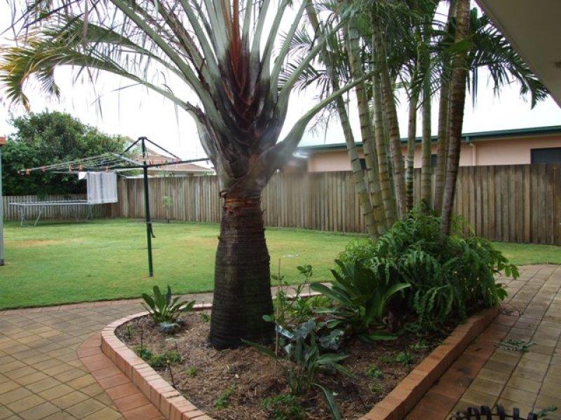 118 Coronation Avenue GOLDEN BEACH QLD, Golden Beach - Thumbnail 2