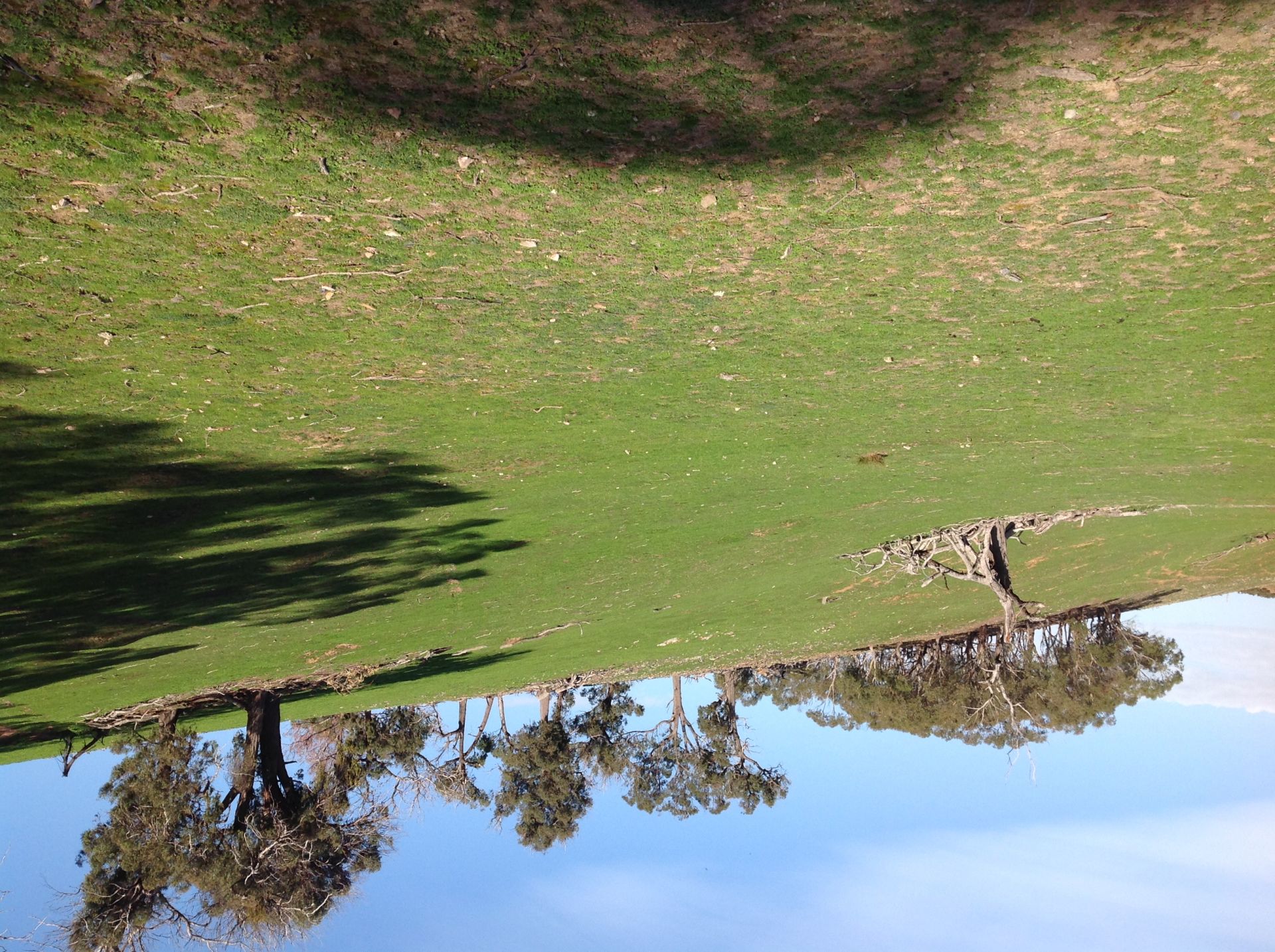 90 Colandal Lane, Rye Park NSW, Rye Park - Thumbnail 3