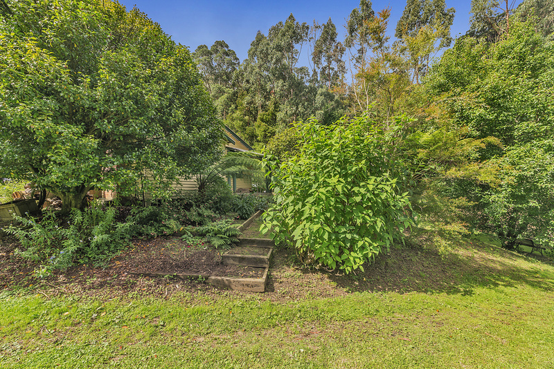 860 Barham River Road, Apollo Bay, VIC, Apollo Bay - Thumbnail 6