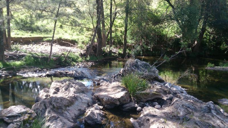 , YARROWITCH NSW 2354