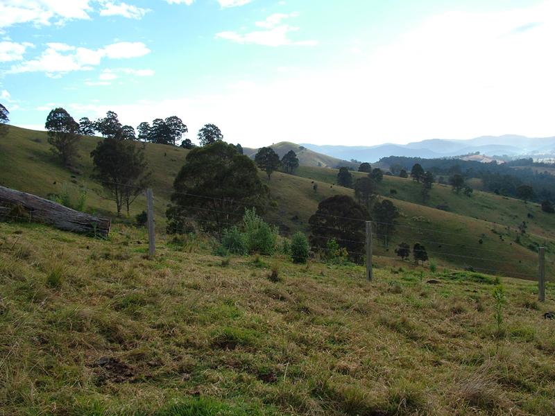 Real Estate For Sale 590 Scone Road Copeland , NSW