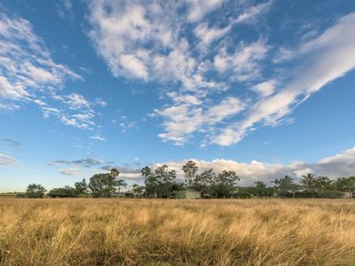 SOLD! By Nila de Silva