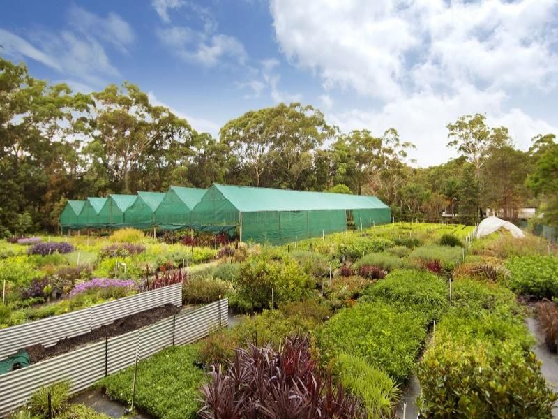 1037 Old Northern Road DURAL NSW, Dural - Thumbnail 4