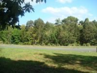 12 Bourne Crescent Woombye QLD, Woombye - Thumbnail 8