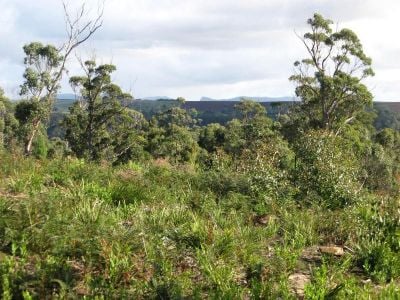 26 Forest Heights Drive, TUGRAH, Tugrah - Thumbnail 3