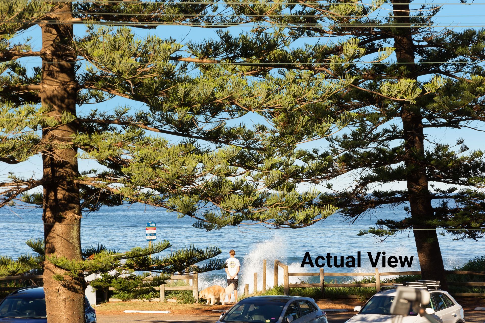 2/409 Barrenjoey Road Newport NSW 2106, Newport - Thumbnail 7