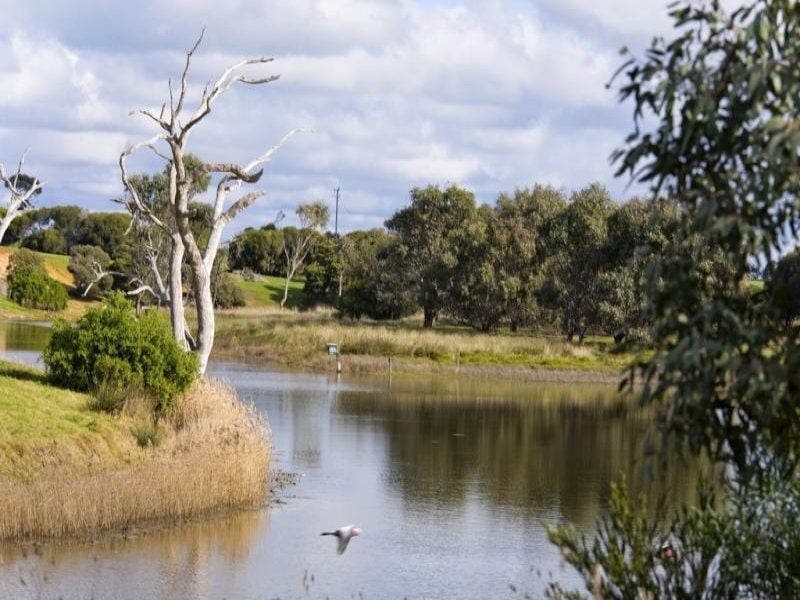 80 Graham Lane BARWON HEADS VIC, Barwon Heads - Thumbnail 5