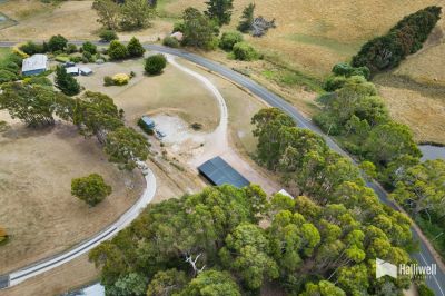 363 Melrose Road, Eugenana, Eugenana - Thumbnail 7