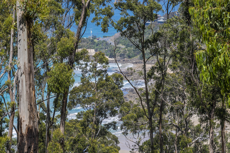 63 Karingal Drive, Wye River, VIC, Wye River - Thumbnail 4