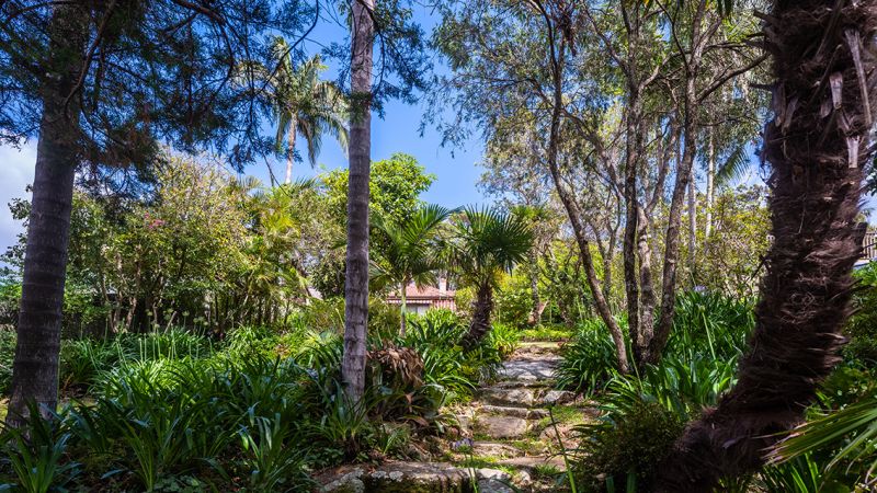 44 Parthenia Street, Dolans Bay NSW, Dolans Bay - Thumbnail 4