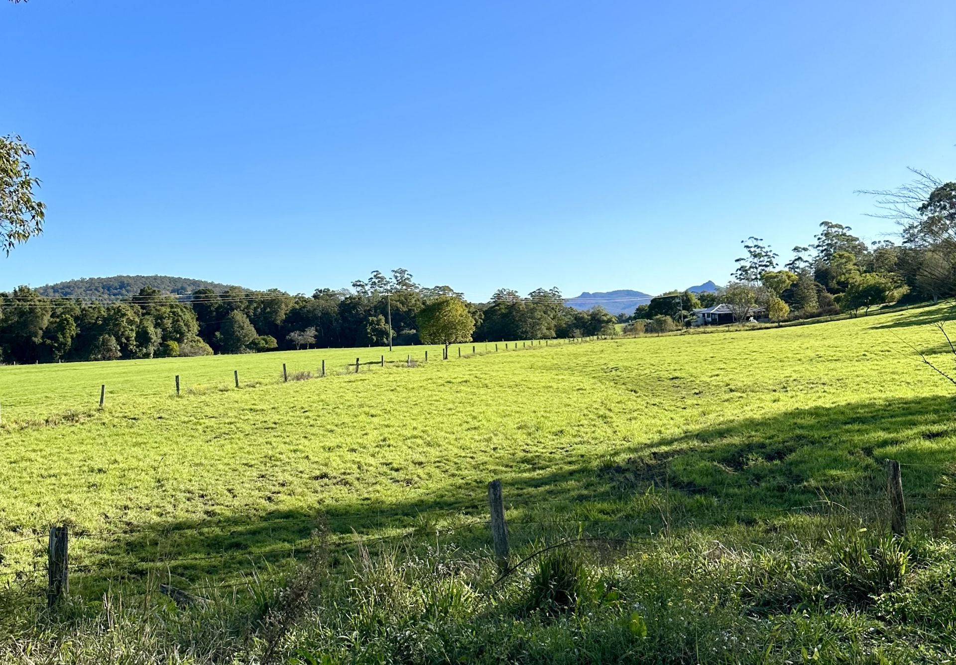 123 Jerusalem Road Stewarts River NSW, Stewarts River - Thumbnail 2