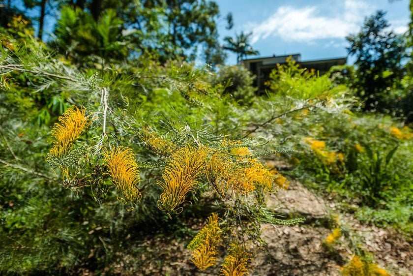 Real Estate For Sale 30 Elk Avenue Repton , NSW