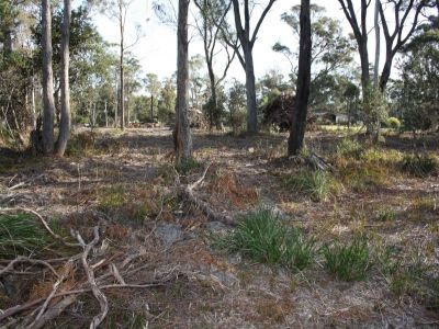 117 Panatana Drive, PORT SORELL, Port Sorell - Thumbnail 4
