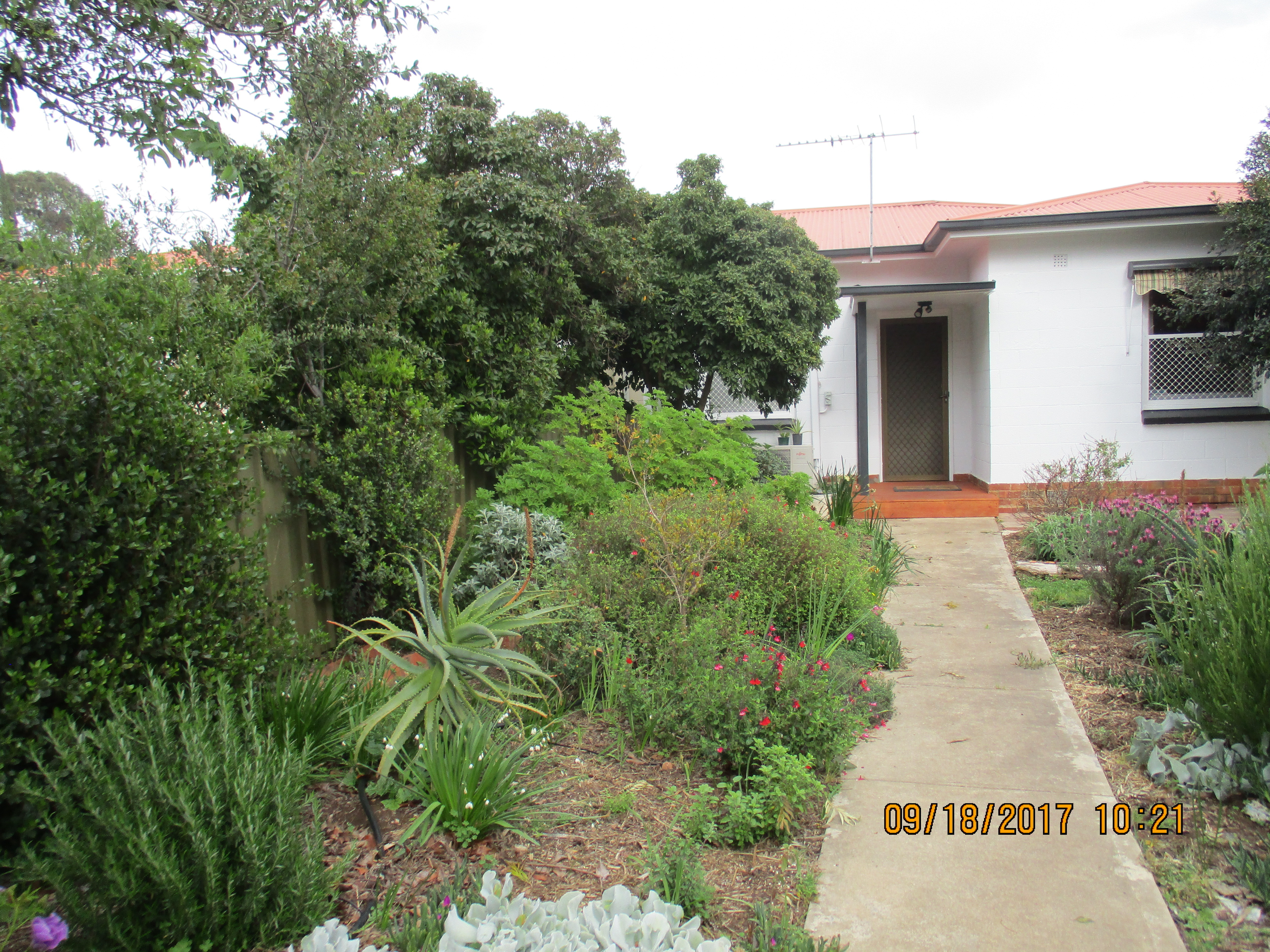 1 Donoughmore Grove Hectorville 5073