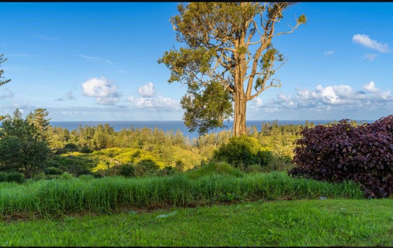 178 Stockyard Road Norfolk Island NSW, Norfolk Island - Thumbnail 2