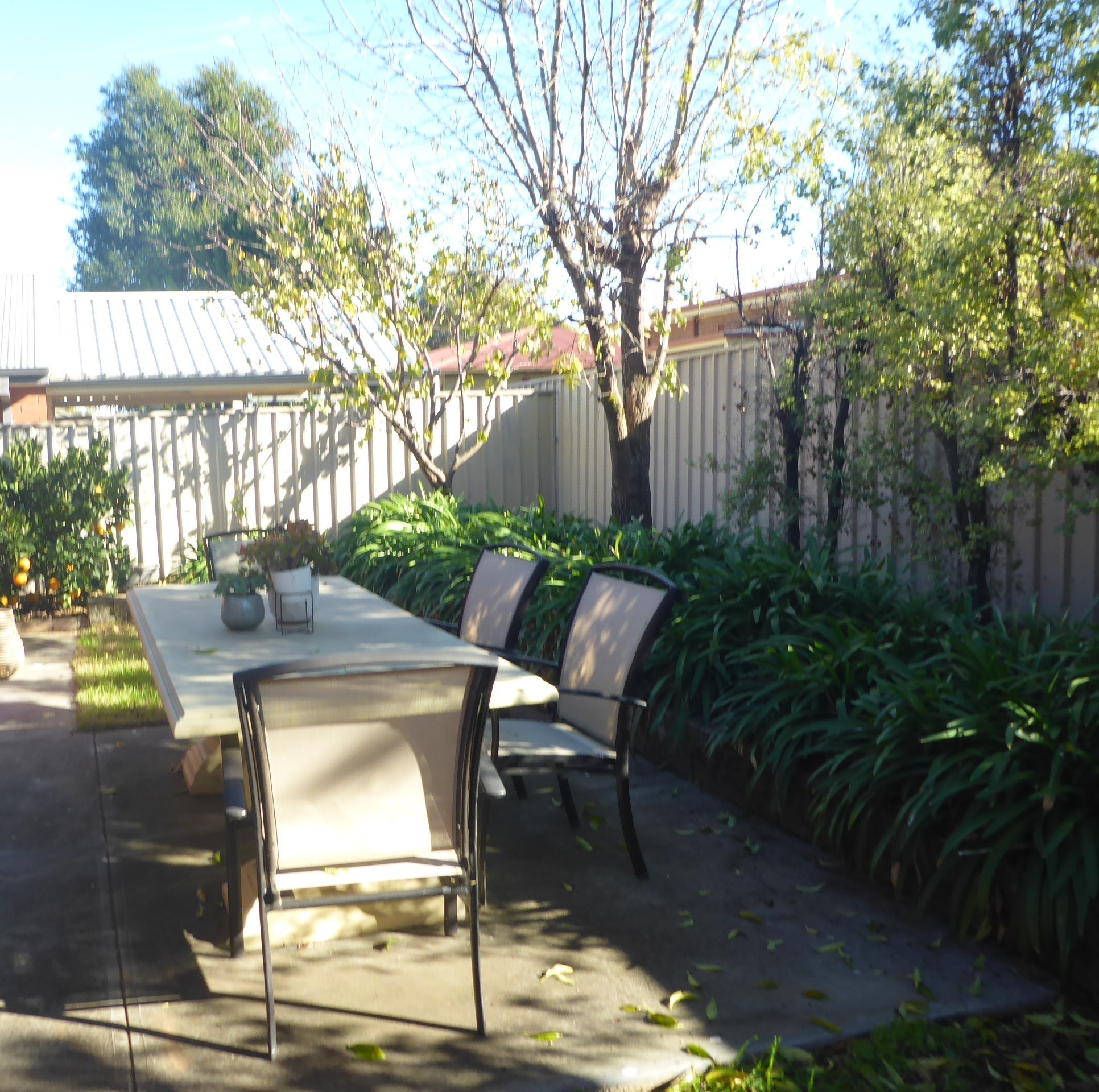 6 Hopkins Court Broadview 5083